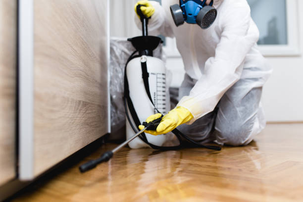 Best Affordable Pest Control Services  in Jefferson, LA