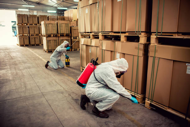 Best Flea Control Services  in Jefferson, LA