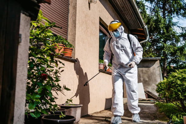 Best Rat Extermination Near Me  in Jefferson, LA