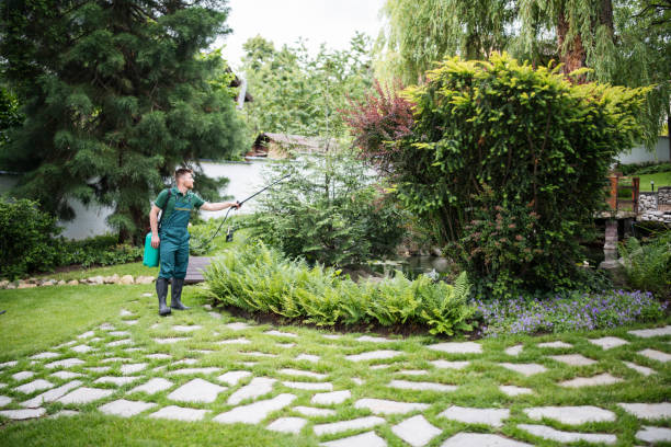 Best Affordable Pest Control Services  in Jefferson, LA