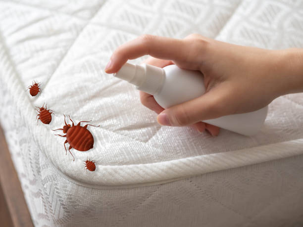 Best Best Pest Control Companies  in Jefferson, LA