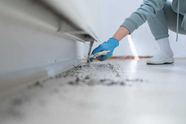 Best Pest Removal Services  in Jefferson, LA