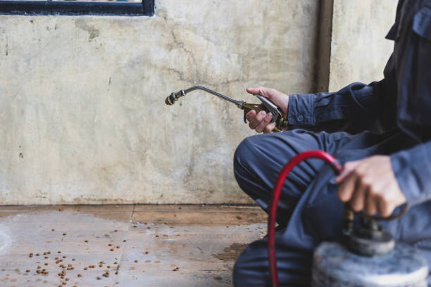 Professional Pest Control in Jefferson, LA